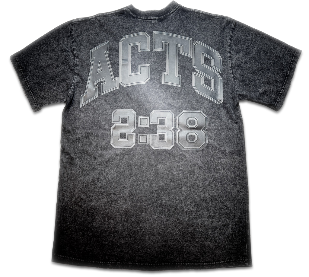 Faith Stone washed T shirt/Acts 2:38 back print