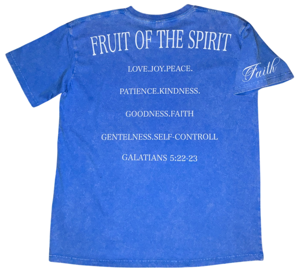 Integrity/Fruit of the spirit Stone washed T shirt baby blue