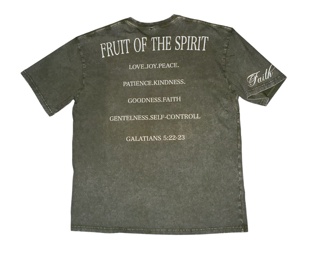 Integrity/Fruit of the spirit Stone washed T shirt baby blue