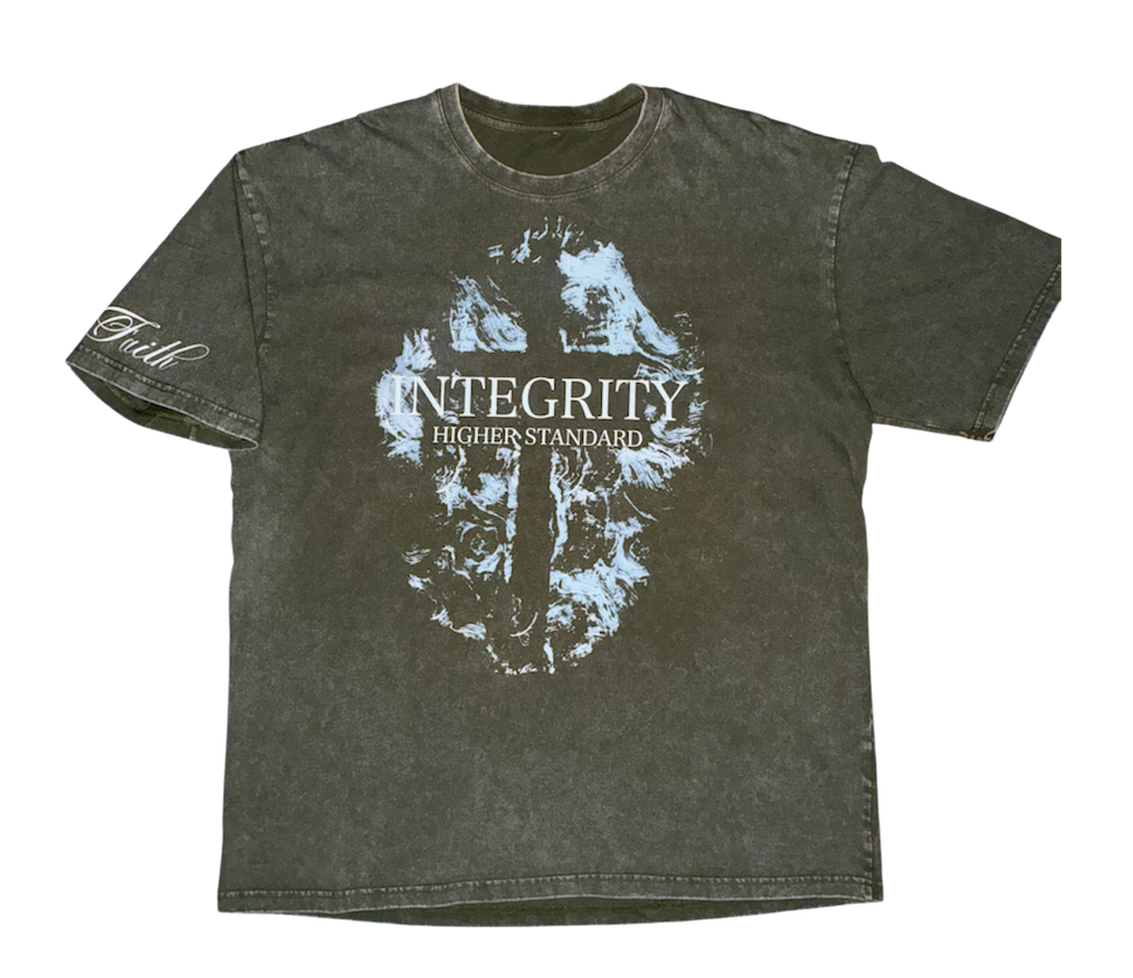 Integrity/Fruit of the spirit Stone washed T shirt baby blue